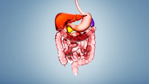 How a tiny chip can hold information from your gut